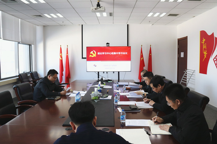 集團召開黨委理論學習中心組集中學習會議